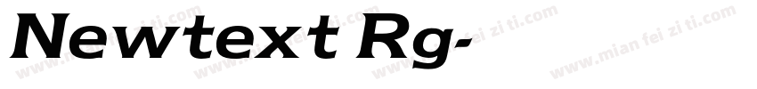 Newtext Rg字体转换